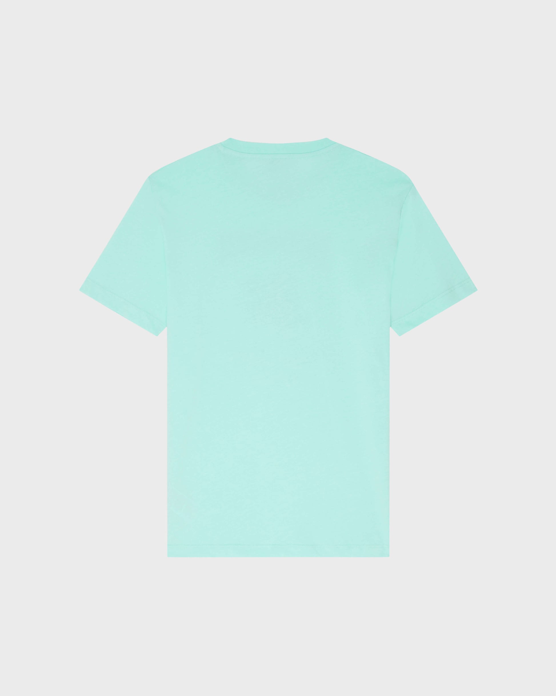 Vilebrequin Men Cotton T-shirt Contrasted Placed Gomy Logo - Green Caribbean