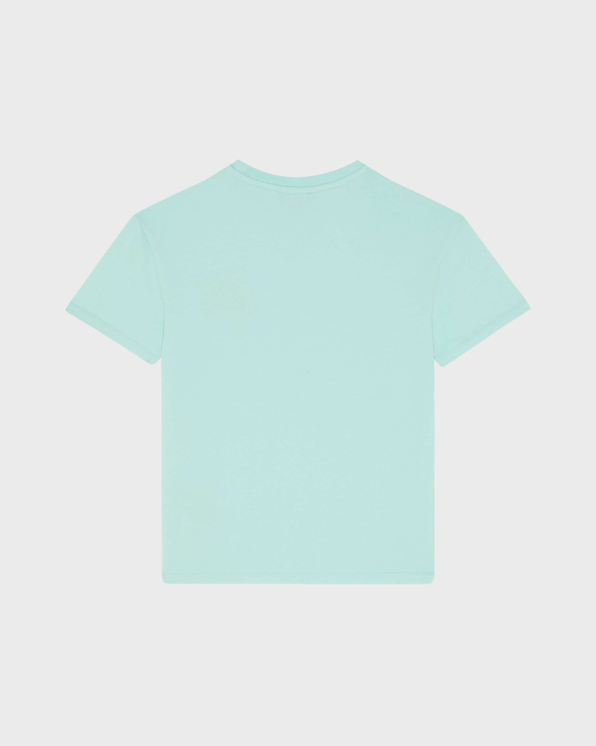 Vilebrequin Boys Boys Organic Cotton T-shirt Embroidered Turtle - Green Caribbean
