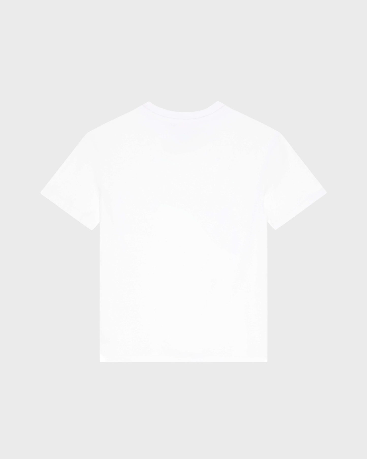 Vilebrequin Boys Boys Organic Cotton T-shirt Big Turtle Print - White