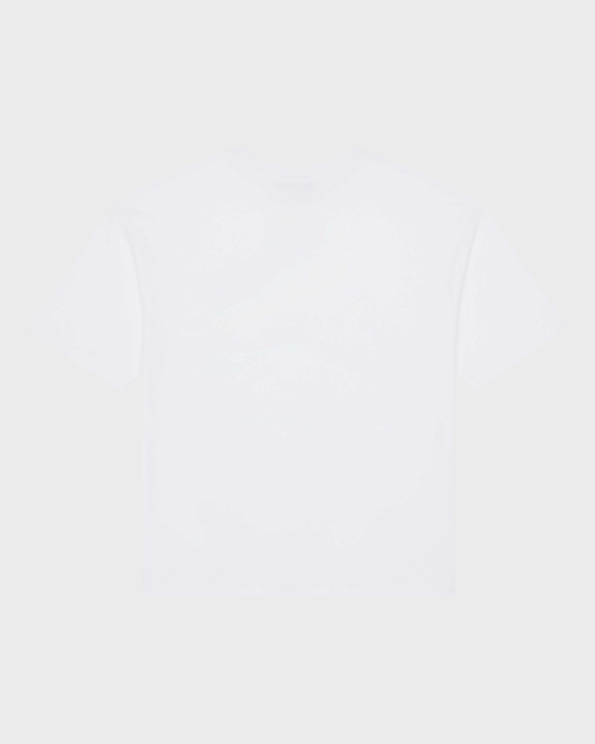 Vilebrequin Boys Boys Oversize T-shirt Printed Whales Turtle