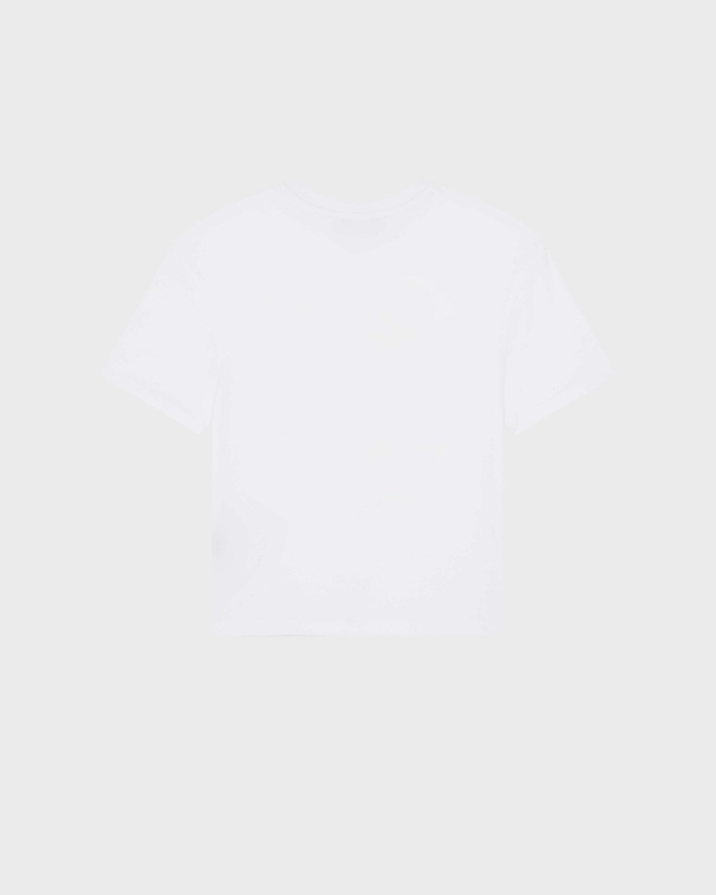 Vilebrequin Boys Boys Regular Cut T-shirt Orcas