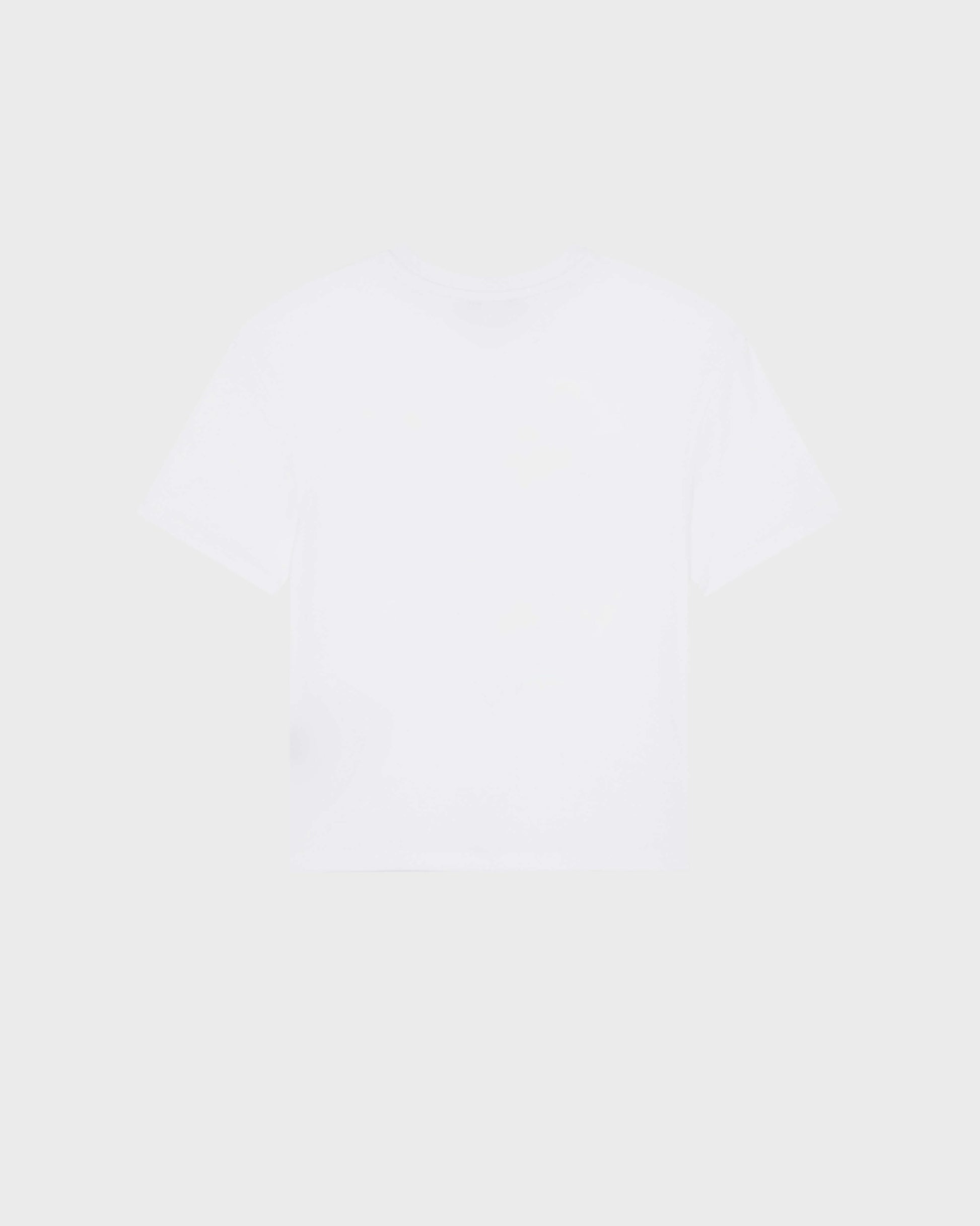 Vilebrequin Boys Boys Regular Cut T-shirt Orcas